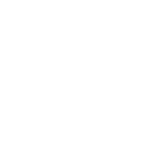 Aerial Survey